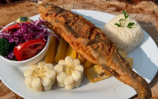 Trucha Broaster